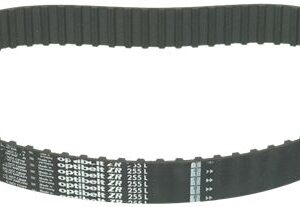 CINGHIA DENTATA 255 L 100 H25