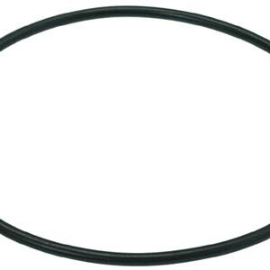 GUARNIZIONE OR 04387 EPDM