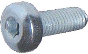 VITE AUTOFORMANTE WHIRLPOOL 481250218719