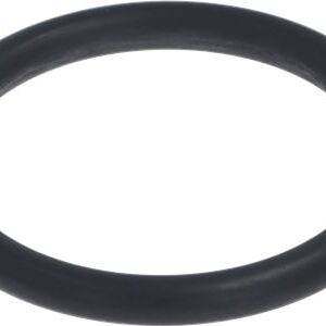 GUARNIZIONE ORM 0480-60