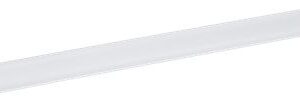 BORDINO POSTERIORE VETRO ELECTROLUX 2231