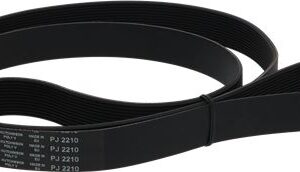 CINGHIA POLY V PJ2210 H28 11 GOLE