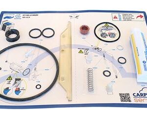 CARPICARE KIT 191 K P 12M