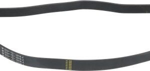 CINGHIA POLY V 1016 J40 8N
