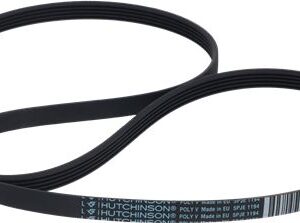 CINGHIA 1194 5PJE WHIRLPOOL C00144656