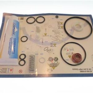 CARPICARE KIT 191 241P & P/SP 6/12 MESI