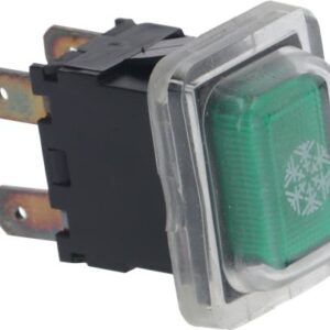 SWITCH   INT.BIP.FREDDO C/PROT.250V