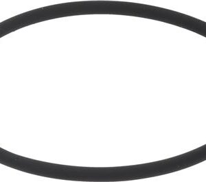 O RING /WSG60
