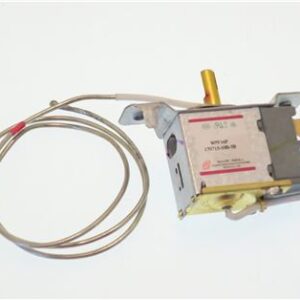 TERMOSTATO FG. 20061483