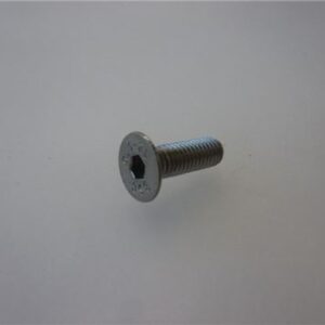 VITE A TESTA SVASATA PIANA M5x16