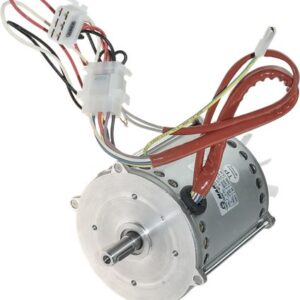 MOTEUR