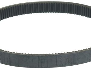 CINGHIA DENTATA 115NV 1000W31,5 H31