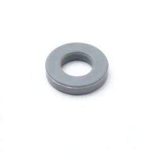 SEAT WASHER FOR DIVERTER VALVES AND OLD