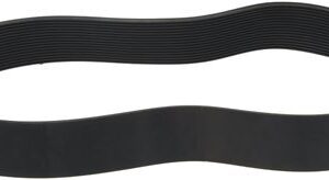 CINGHIA POLY V 1664 L655 16N