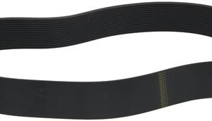 CINGHIA POLY V 1613 L635 16N