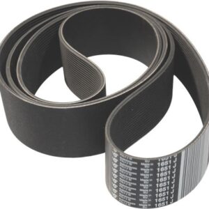 CINGHIA POLY V 1651 J65 20N