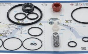 CARPICARE KIT 191 & 241 P SP MAGICA 6M