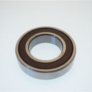 CUSCINETTO 6006 DDU