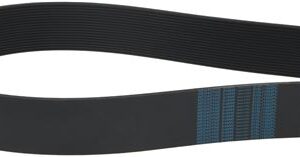 CINGHIA POLY V 1562 L615 18N