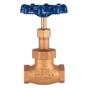 3/4" GLOBE VALVE, BLUE HANDLE