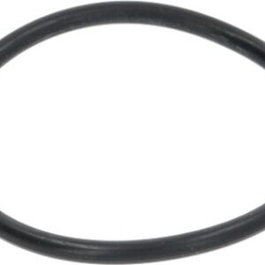GUARNIZIONE OR 04200 EPDM