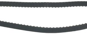 CINGHIA DENTATA 200 XL 037 H10