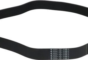 CINGHIA POLY V 1168J H31 12 GOLE