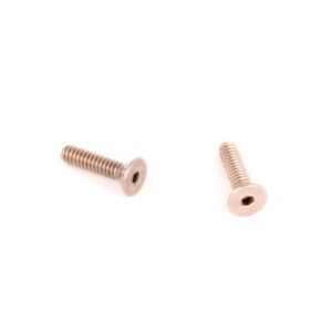 SPOUT GUARD SCREW