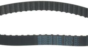 CINGHIA DENTATA 300H 209 H25
