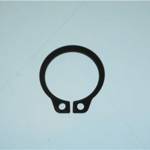 ANELLO SEGER D.20