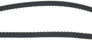 CINGHIA DENTATA 210 XL 037 H10