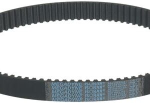 CINGHIA DENTATA 720 RPP8 807 H24