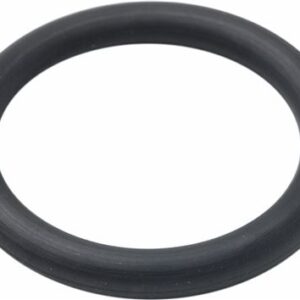 GUARNIZIONE O-RING
