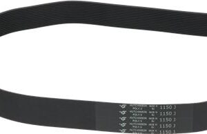 CINGHIA POLY V 1150J H33 13 GOLE