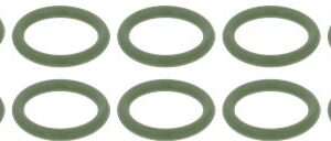 10 pz O-Ring 119 viton (Multipack)