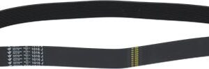 CINGHIA POLY V 1016J H28 11 GOLE