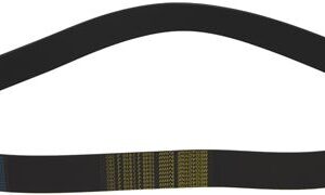 CINGHIA POLY V 1549 J610 20N