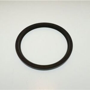ANELLO TENUTA 85X100X9