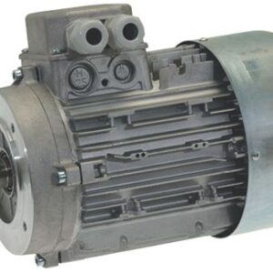 MOTORE PER MESCOLATORE CARNI